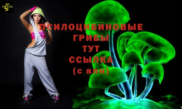 a pvp Балабаново