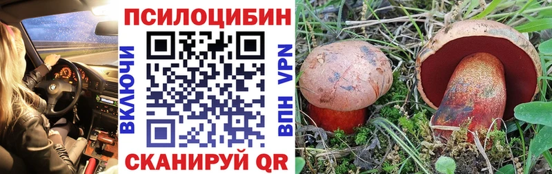 сайты даркнета Telegram  Сортавала  Псилоцибиновые грибы прущие грибы  сколько стоит  OMG сайт 