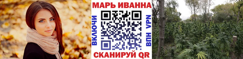 Канабис OG Kush Сортавала